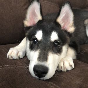 Meet your Posher, Makayla